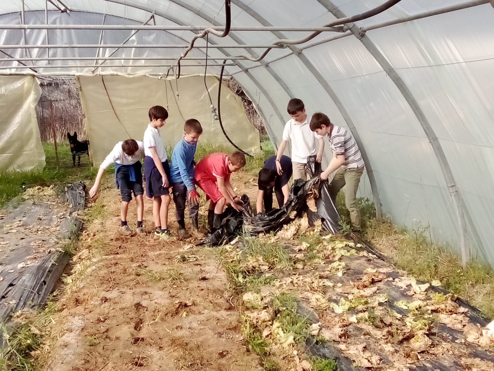 Illustration de l’actualité