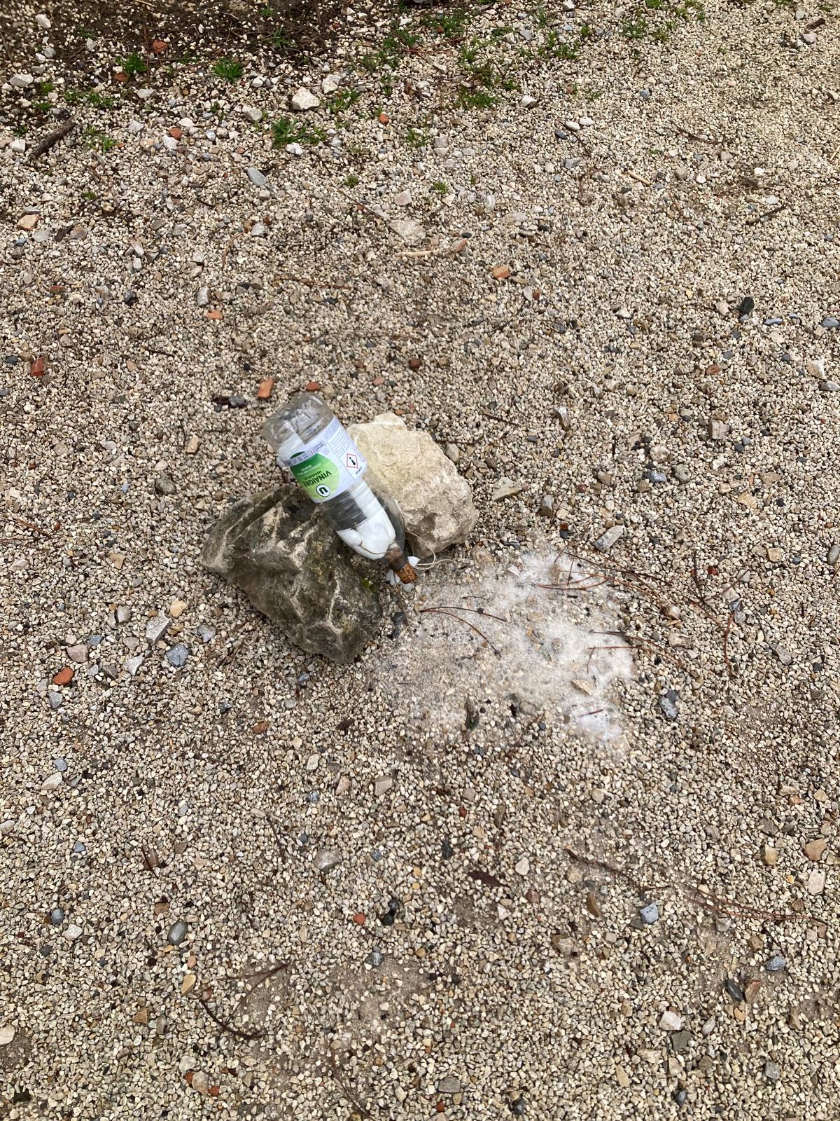 Expérience technologique