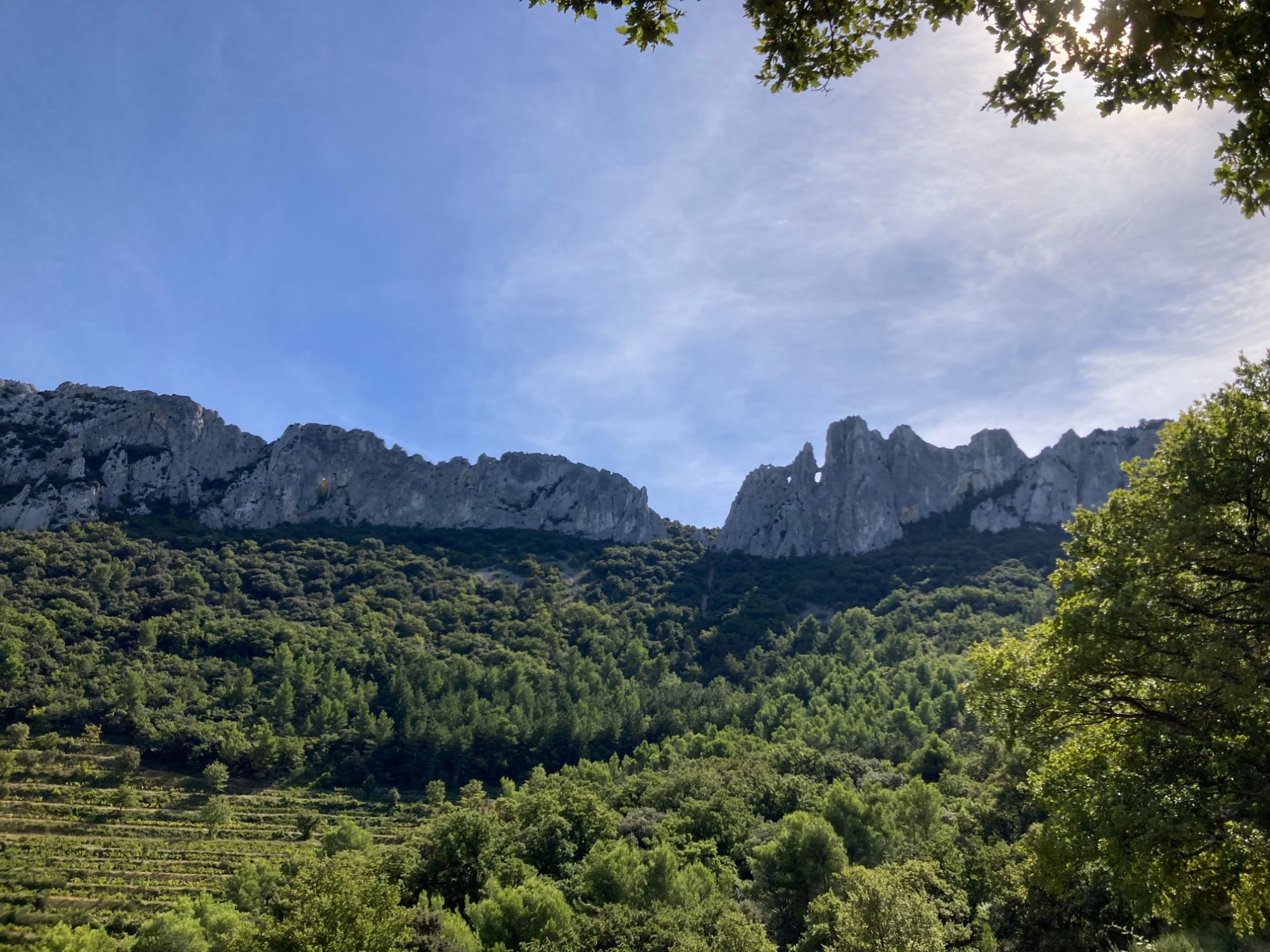 Pèlerinage de rentrée – photo 5